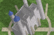 The Archerland