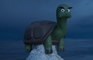 A turtle in peril