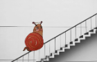 snailmation